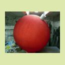Красный шар из пенопласта